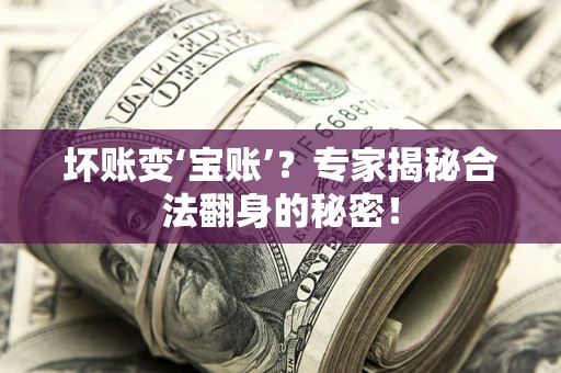 武汉坏账变‘宝账’？专家揭秘合法翻身的秘密！