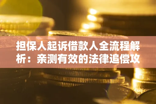 武汉担保人起诉借款人全流程解析：亲测有效的法律追偿攻略