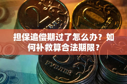 武汉担保追偿期过了怎么办？如何补救算合法期限？