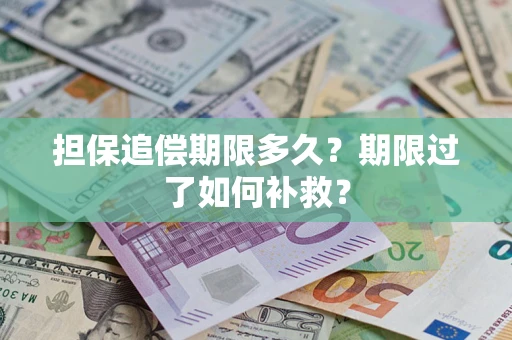 武汉担保追偿期限多久？期限过了如何补救？