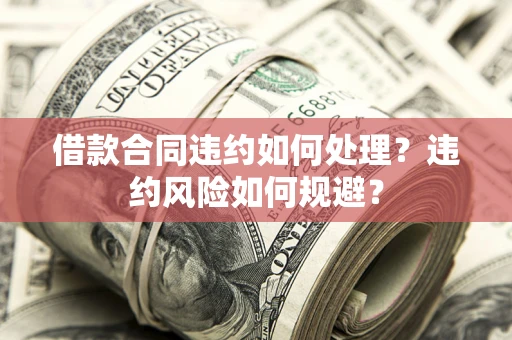 武汉借款合同违约如何处理？违约风险如何规避？