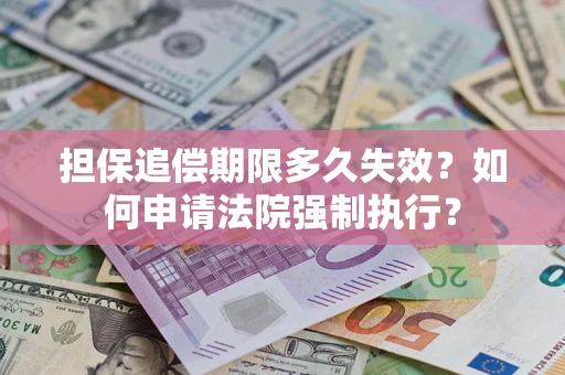 武汉担保追偿期限多久失效？如何申请法院强制执行？