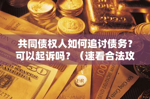 武汉共同债权人如何追讨债务？可以起诉吗？（速看合法攻略）