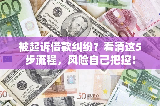 武汉被起诉借款纠纷？看清这5步流程，风险自己把控！