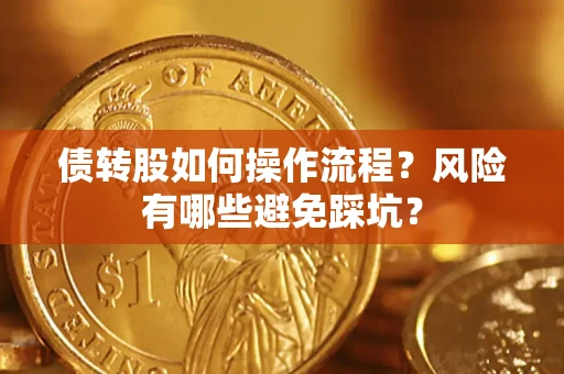 武汉债转股如何操作流程?风险有哪些避免踩坑? 武汉债转股如何操作流程?风险有哪些避免踩坑?