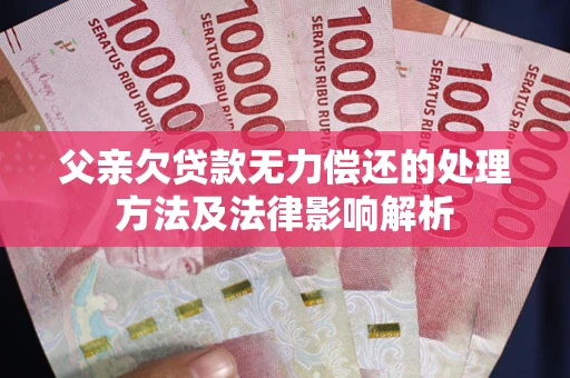 武汉父亲欠贷款无力偿还的处理方法及法律影响解析