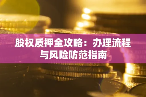 武汉股权质押全攻略：办理流程与风险防范指南